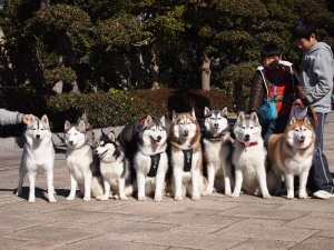 千葉インター幕張