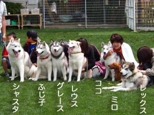 水戸スクエア2011/05/22